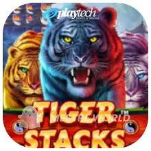 PLAYTECH260